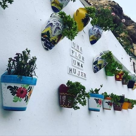 La Medina Baja Apartment Setenil De Las Bodegas Luaran gambar