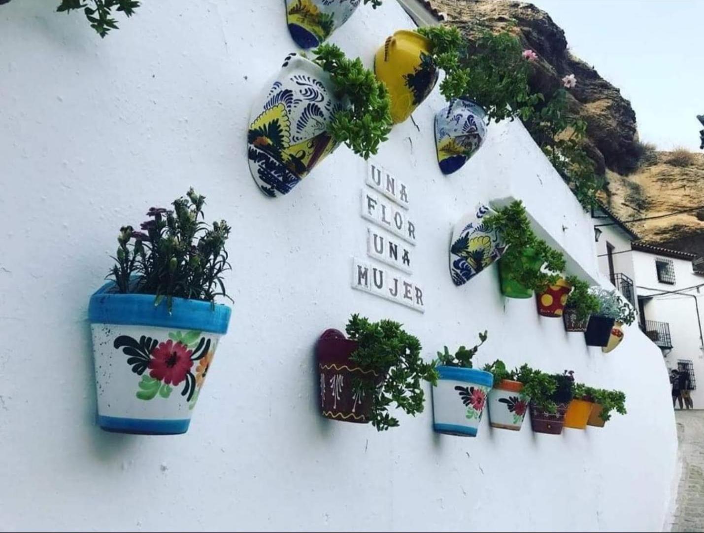 La Medina Baja Apartment Setenil De Las Bodegas Luaran gambar